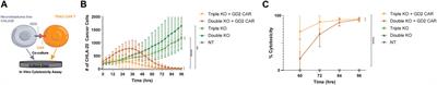 Non-viral expression of chimeric antigen receptors with multiplex gene editing in primary T cells